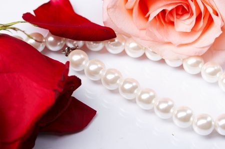 rose pearの写真素材