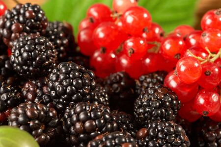 berry dessert