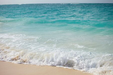 beachの写真素材