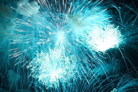 Firework in honor of Independence Dayの写真素材