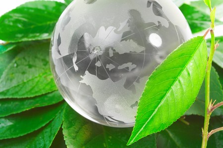 The globe concept ecoの写真素材