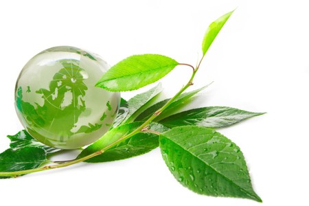 The globe concept ecoの写真素材