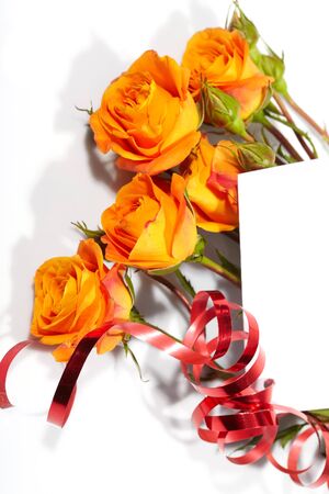 Orange rosesの写真素材