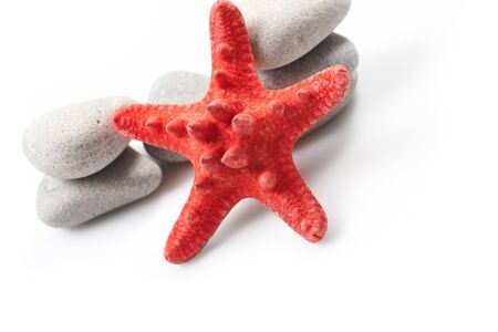 Starfish and pebbleの写真素材