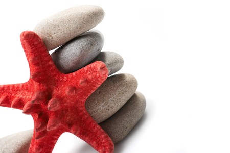 Starfish and pebbleの写真素材