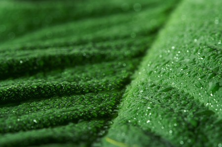 leaf and dropの写真素材