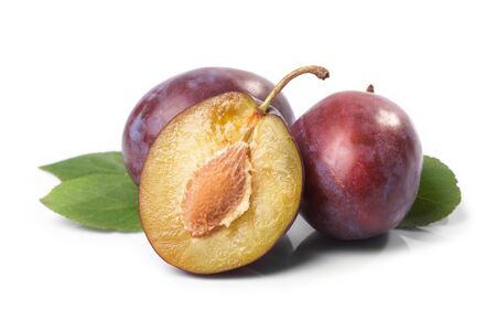  Plums and leaves on a white background
の写真素材