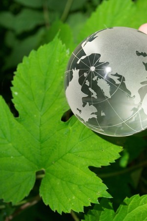 globe ecology の写真素材