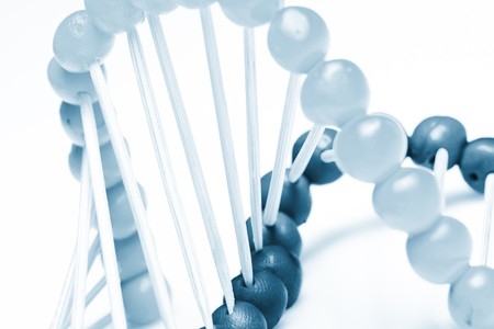   Molecule of DNA