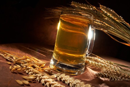 Glass of beer with grainの写真素材