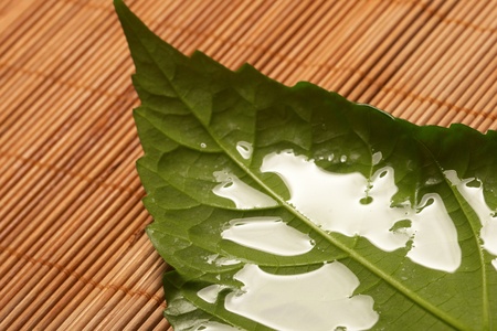 Spa concept
の写真素材