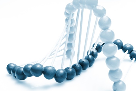   Molecule of DNAの写真素材