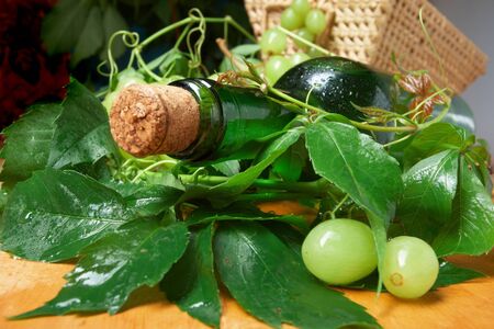 Wine glass with bottle for wine tastingの写真素材