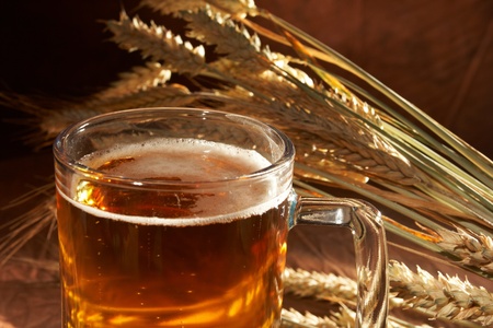 Glass of beer with grainの写真素材