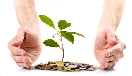 Coins sprout,  handsの写真素材