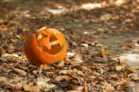 Creepy carved pumpkin face, with a smile, in parkの写真素材