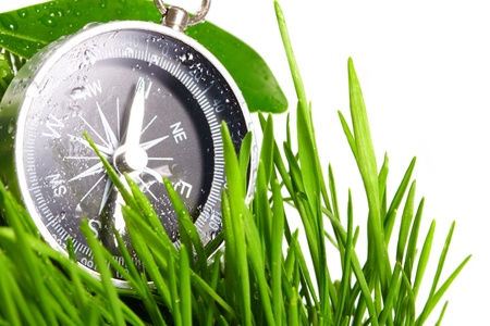 compass in green grassの写真素材
