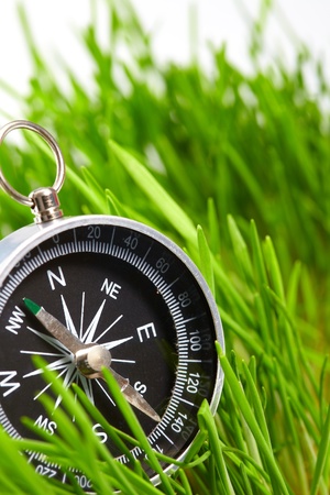 compass in green grass