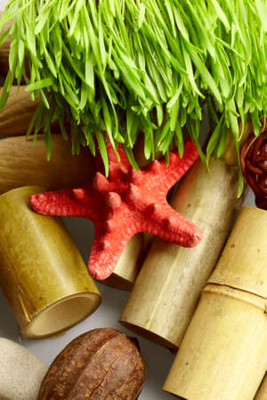 natural conceptの写真素材