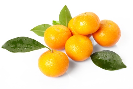 fresh tangerines on the white backgroundの写真素材