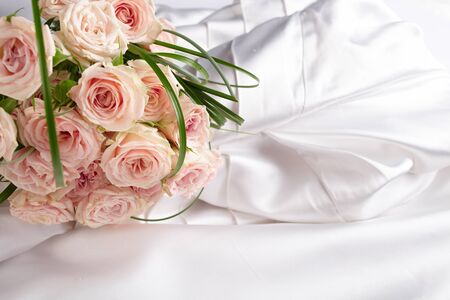 beautiful rosesの写真素材