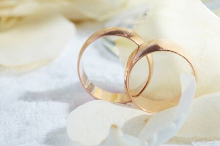 golden rings and  rose petalsの写真素材