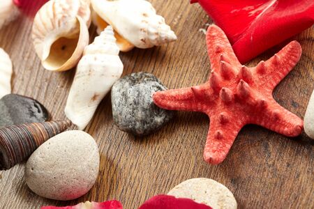 Sea still-lifeの写真素材