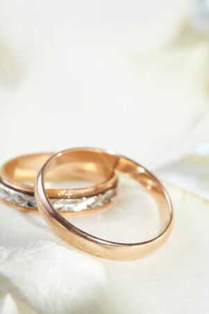 golden rings and  rose petalsの写真素材
