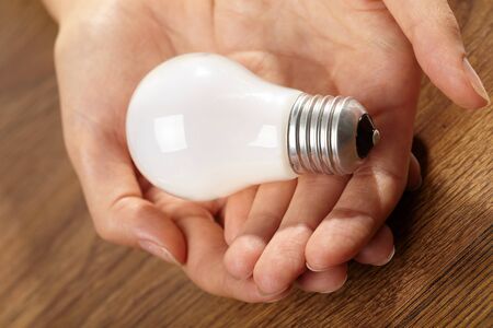 Female hand holding bulb