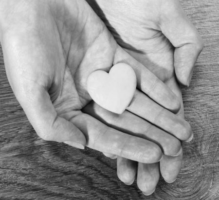 Woman holding pink heart in the hand の写真素材