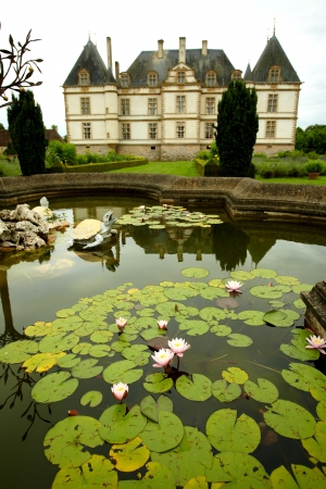 old castleの写真素材