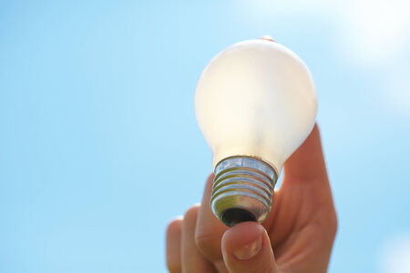 bulb in the hand