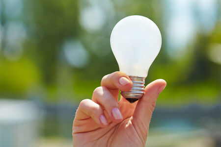 bulb in the hand