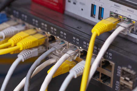network cables connected to switch