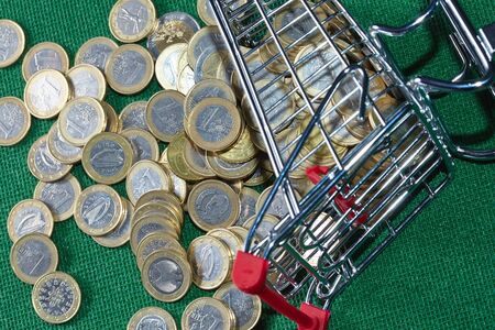 coins in the shopping basketの写真素材