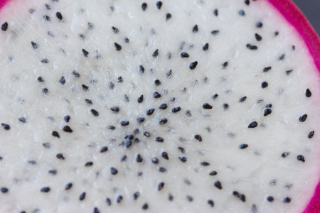 pitahayaの写真素材