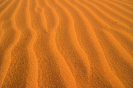 desert sandの写真素材