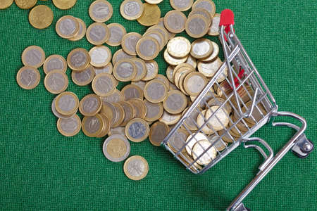 coins in the shopping basket