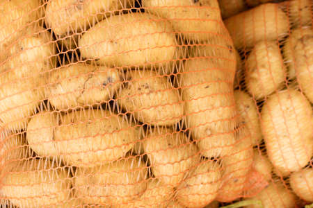 potatoes in net packingの写真素材