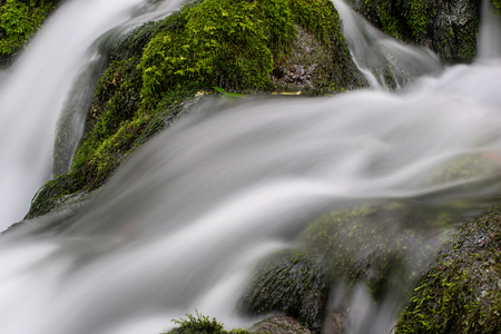 stream in the forestの写真素材