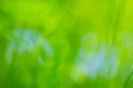 nature backgroundの写真素材