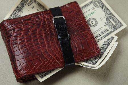 wallet with moneyの写真素材