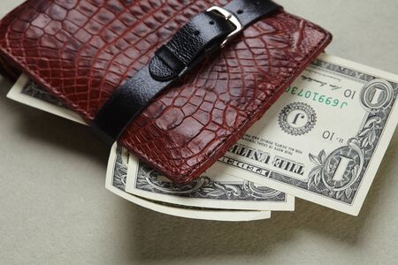 wallet with moneyの写真素材