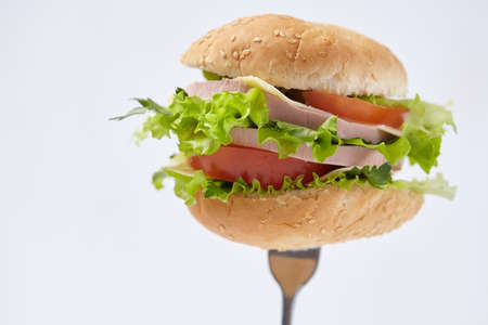 sandwich isolated on whiteの写真素材