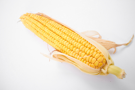 fresh cornの写真素材