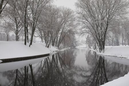 winter sceneの写真素材