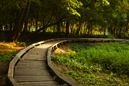 autumn daysの写真素材