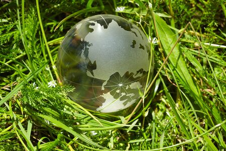 glass globe in the grassの写真素材