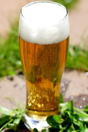cold beerの写真素材