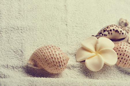 spa conceptの写真素材